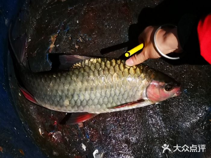 謝大姐啤酒魚·廣西菜(總店)啤酒灕江竹魚圖片