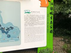 -西湖风景区-江洋畈生态公园