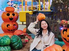 -沈阳方特欢乐世界