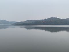 -味好美土菜(迎宾东路店)