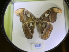 -香港科学馆