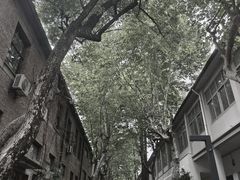 -东信·和创园