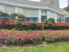 -西北湖绿化广场