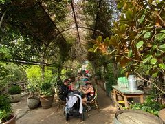 -The Grounds of Alexandria