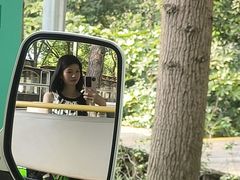 -合肥滨湖国家森林公园