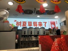 -树夏(建设路店)