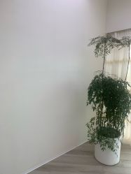 -HEYAN荷妍专业脱毛连锁机构