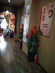 -归真美学颜究中心