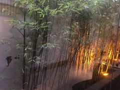 -竹雨堂创意中国菜(裕华店)
