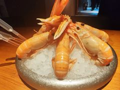 -拉蒂娜·巴西牛排馆 Latina·Brazilian Steakhouse(王府井喜悦店)