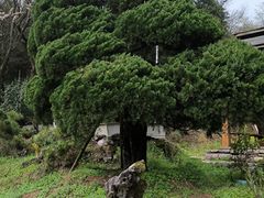 -贵州省植物园