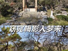 -杭州植物园