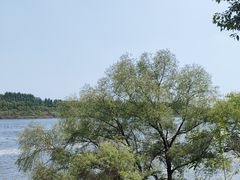 -沈阳鸟岛
