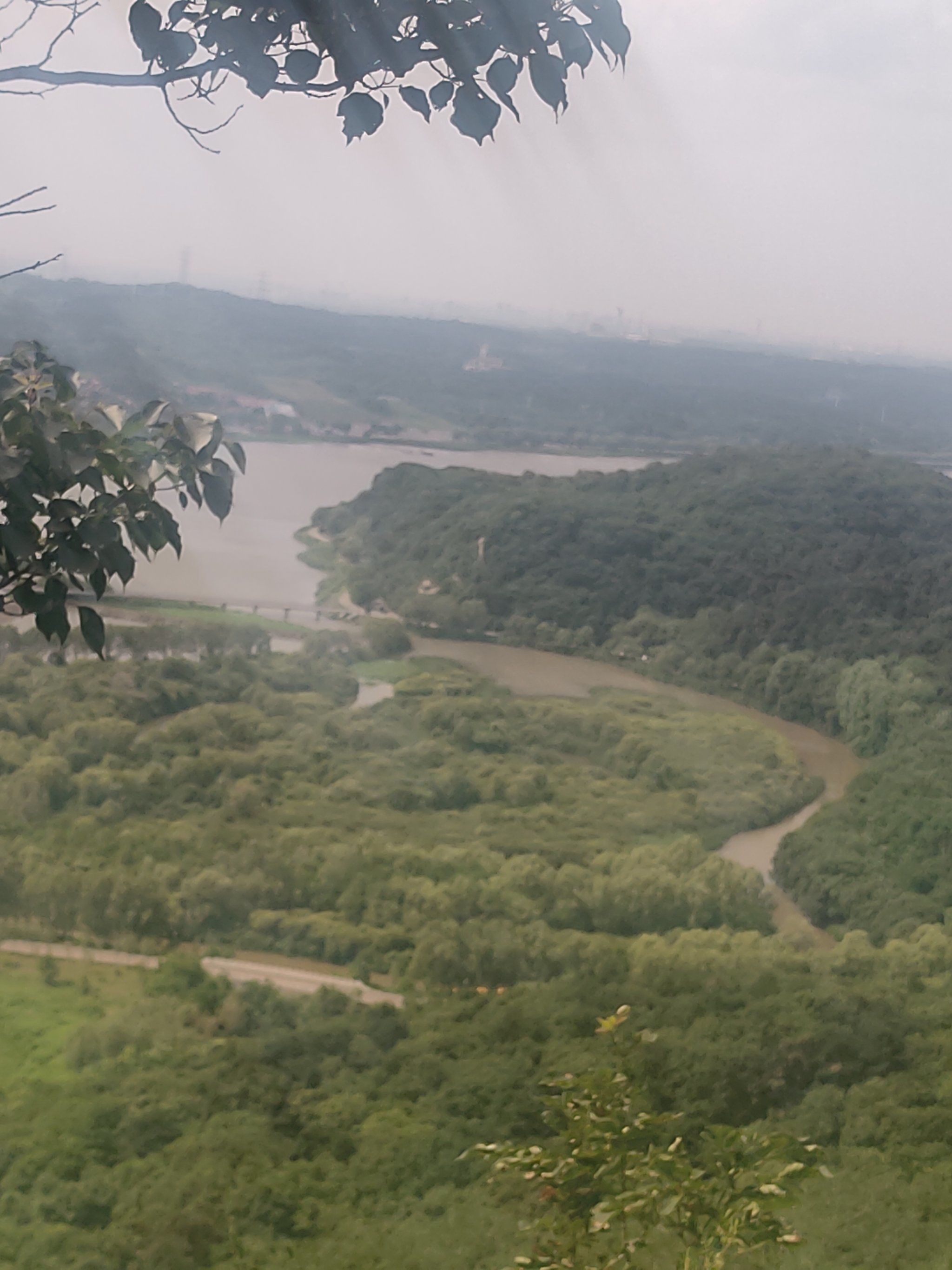 带着孩子看看风景,锻炼身体出个汗,不错的选择「大洋山森林公园-停车