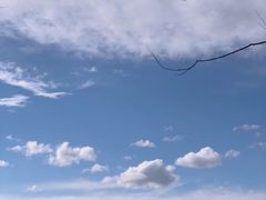 -野鸭湖国家湿地公园