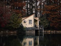 -上海共青森林公园