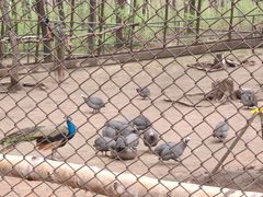 -哈尔滨北方森林动物园