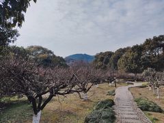 -白马涧龙池景区