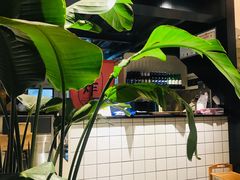 -韩见·韩式拌饭·炸鸡(石厦店)