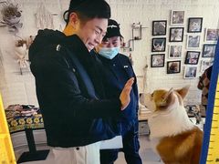 -平行世界·猫咖(首经贸店)