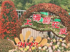 -上海共青森林公园