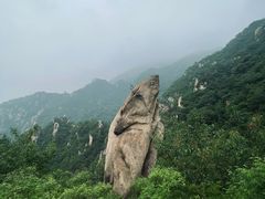 -北京凤凰岭