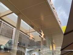 -BeauTea水仙(coco park店)