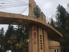 -五营国家森林公园