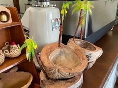 -椰椰大吉(海城店)
