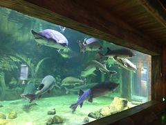 -华夏文旅海洋公园