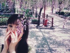 -嘉定紫藤园
