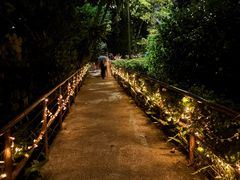 -夜间野生动物园