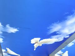 -黄牛肉馆·皖南土菜