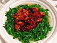 草头圈子-老人和饭店(打浦路店)