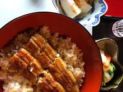 -料亭菊水楼