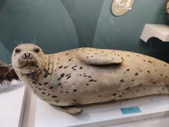 -国家自然博物馆