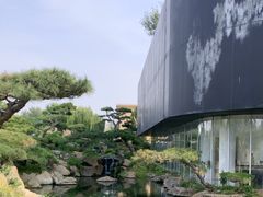 -罗红摄影艺术馆