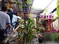 -Jungle Kitchen