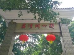 -荔湾湖公园