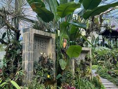 -东莞植物园
