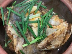 -华仔土鸡店(南洲分店)
