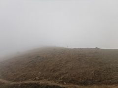 -大姆山草场