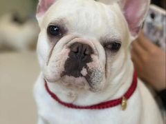 -和它·交个朋友·狗咖猫咖(爱琴海店)