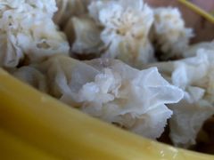 -真食净香居·内蒙烧麦(亚运村店)