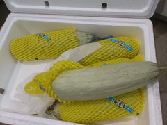 -西郊国际农产品交易中心