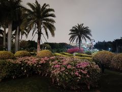 -白鹭洲公园