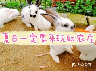 广州|夏天一定要来打卡的原生态农庄乐园