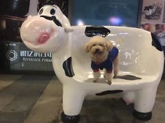 -银亿滨江中心
