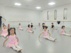 -西安小天鹅艺术团(金花路校区)