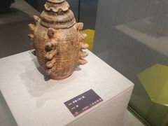 -兰溪市博物馆